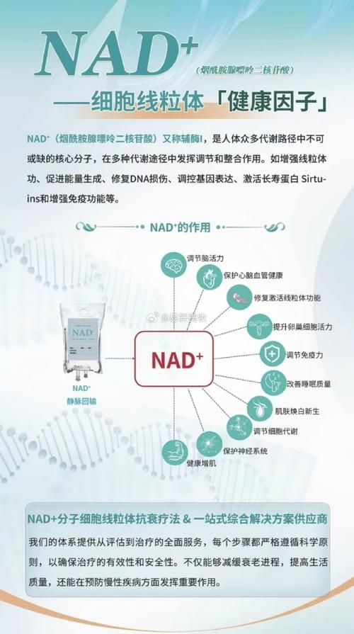 深度解读Nadesico：剧情设定与时代背景