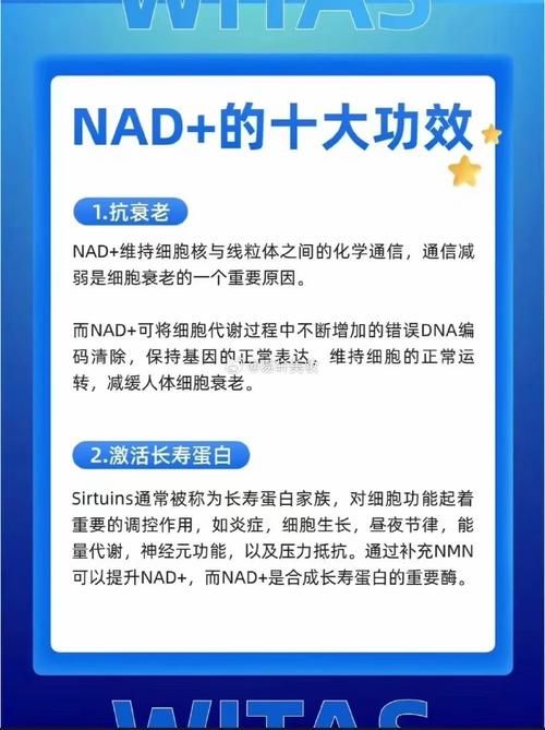 深度解读Nadesico：剧情设定与时代背景