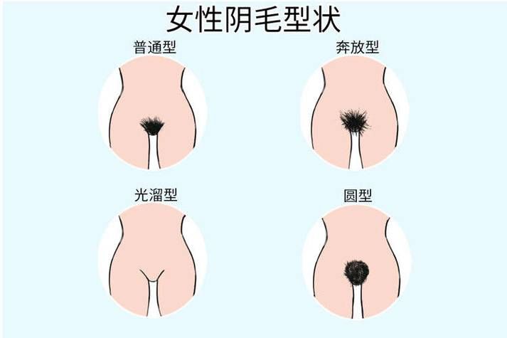 白虎B是什么样的？揭秘罕见女性私处类型