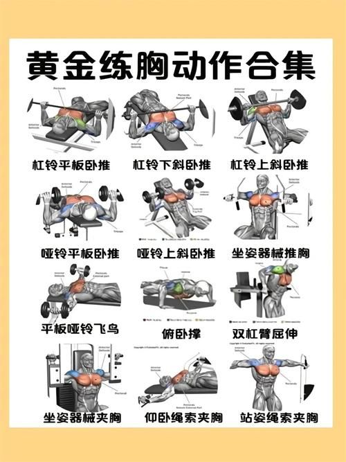 D罩杯MM运动指南：健康塑形秘诀