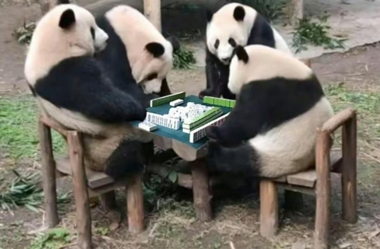 熊猫麻将：休闲益智，随时随地都能玩