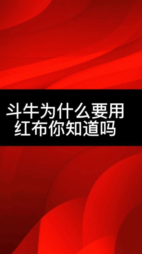 斗牛红布的秘密：刺激牛还是吸引观众？