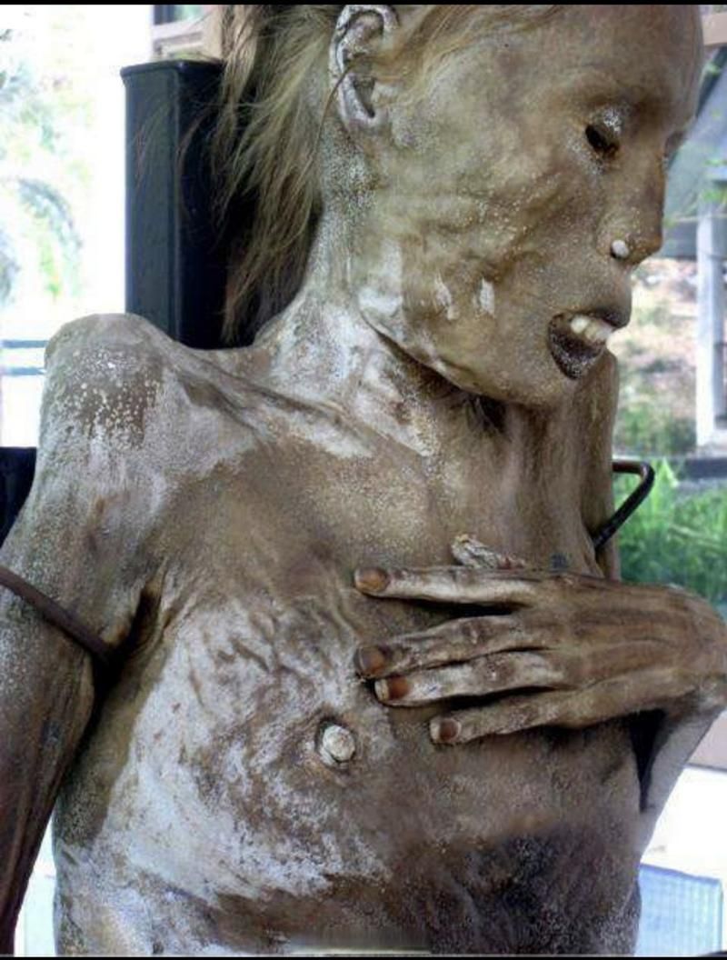细伟真实事件详情：食人魔的残忍罪行与泰国民众的请愿