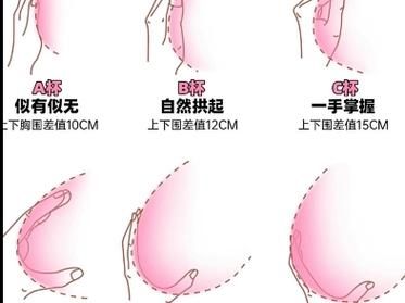 Z罩杯有多大？看完你就明白了！