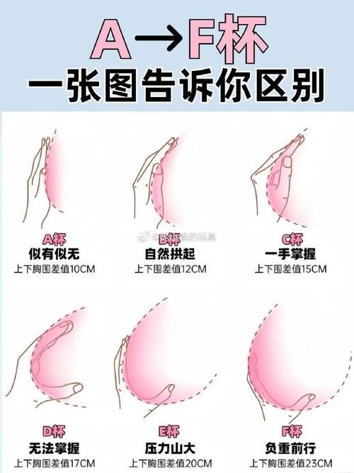 Z罩杯有多大？看完你就明白了！