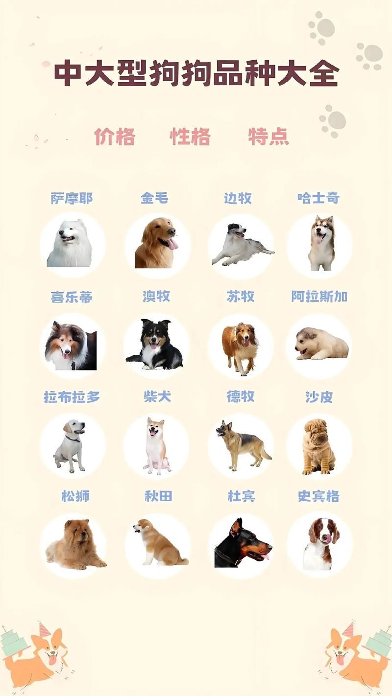 “犬子”是什么意思及用法？解读犬子背后的文化内涵