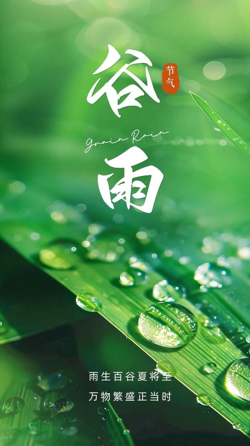 谷雨图片：唯美意境，记录春天最美的时刻