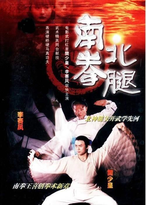新南拳北腿电影赏析：演员阵容及剧情介绍