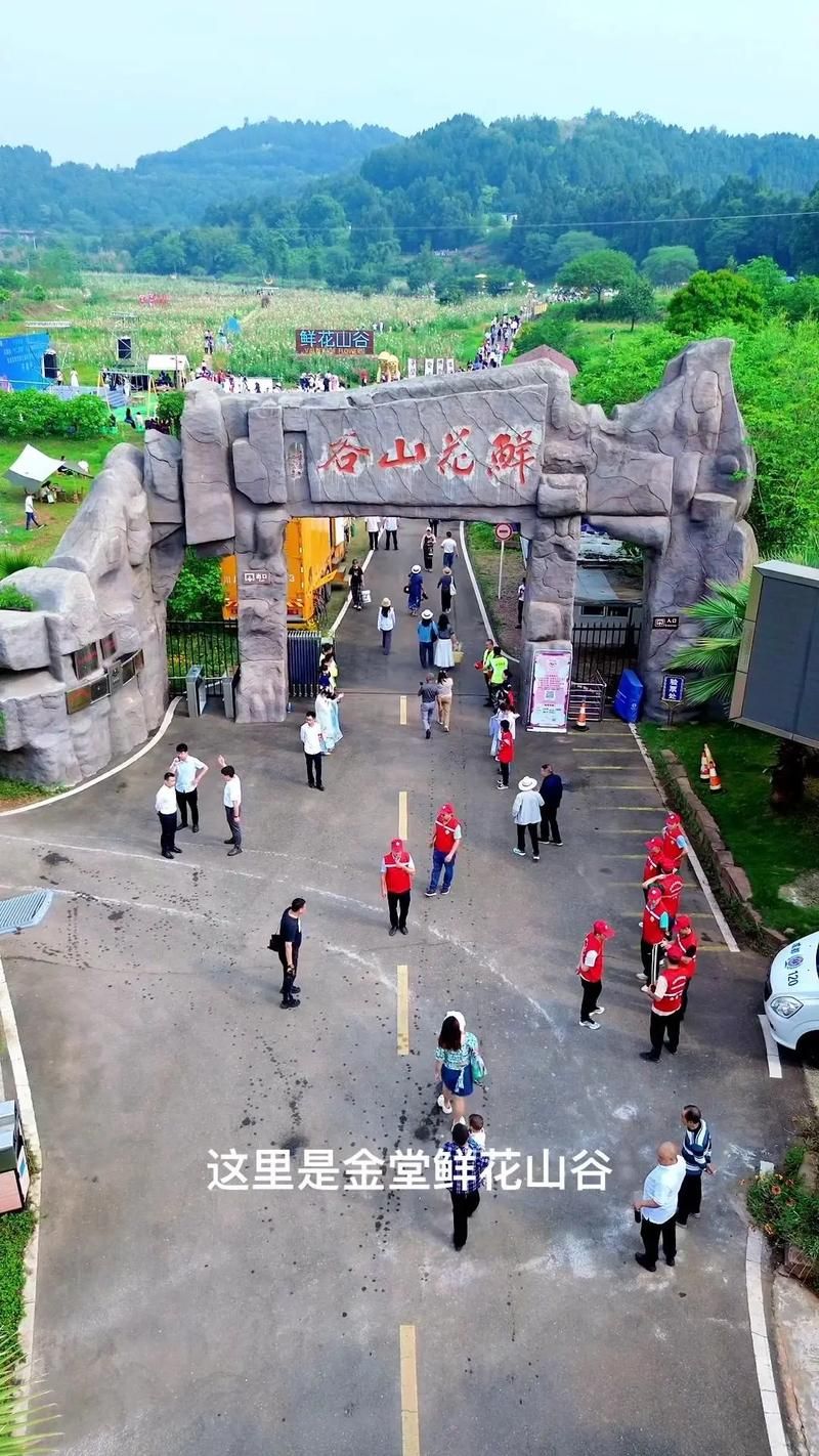 城都地区喷火龙山谷：小智的冒险之旅