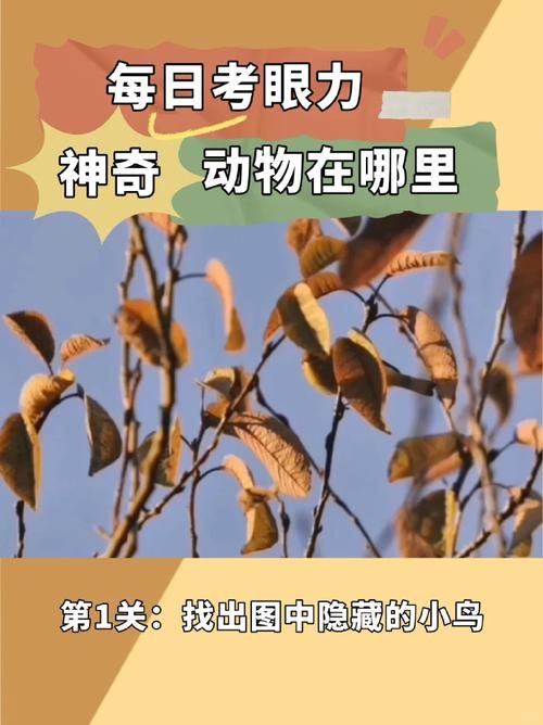 为什么找不到神奇动物2？下架原因深度解析