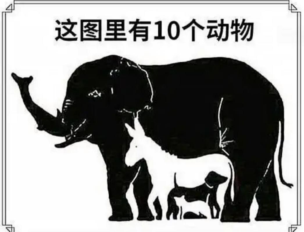 为什么找不到神奇动物2？下架原因深度解析