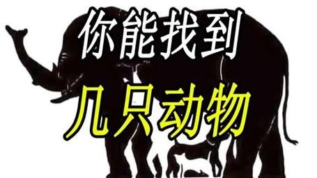 为什么找不到神奇动物2？下架原因深度解析