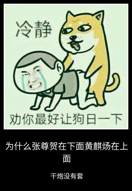 gouride是什么？新手小白也能轻松上手的指南