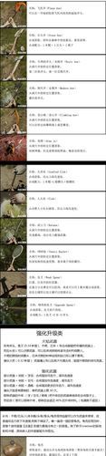 尾行3全流程图文攻略：轻松通关不再迷茫