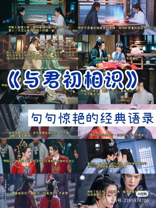 恰似故人归更新时间：追剧日历安排，会员非会员看这里