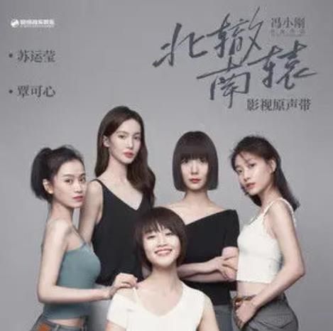免费观看北辙南辕电视剧完整版，高清流畅