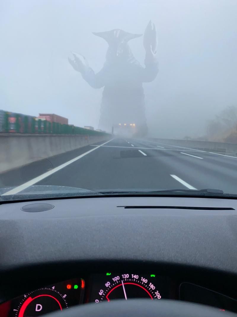 迷雾迷雾迷了路：解开心结，开启全新旅程