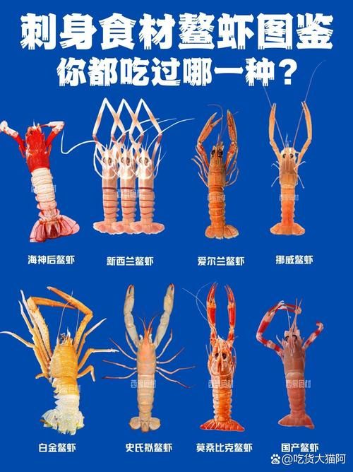 揭秘深海巨物鳐鳌虾：捕获实录及物种信息