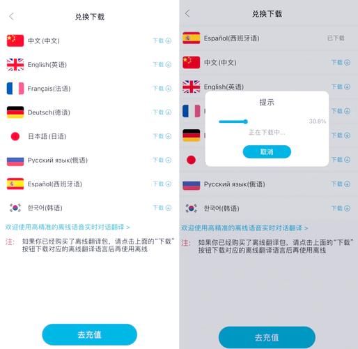 游戏语音翻译器哪个好用？这几款让你告别沟通障碍！