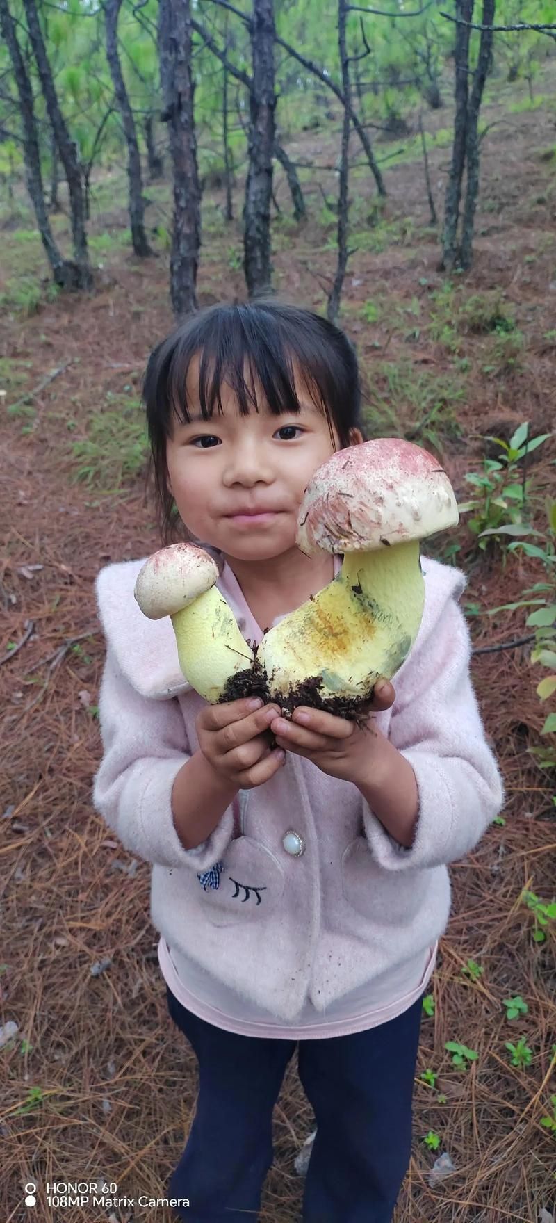 游戏采蘑菇技巧分享，教你采到更多更大的蘑菇！