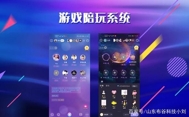 游戏陪玩系统源码怎么找？内行人分享靠谱渠道！