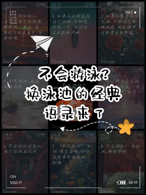 游泳池游戏推荐：不会游泳也能玩得很开心！