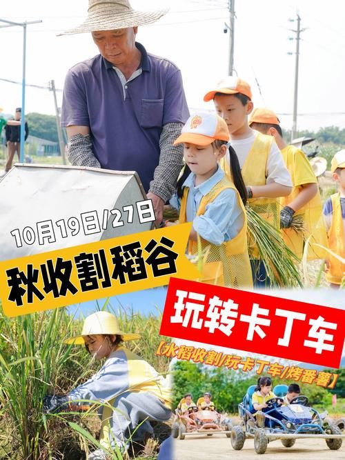 热门抢种抢收游戏视频，一起体验丰收的喜悦！