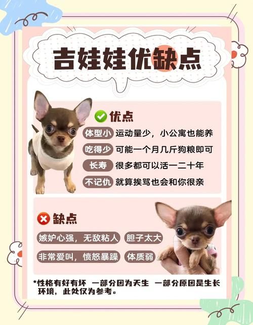 狗娃子游戏好玩吗？新手必看攻略都在这儿！
