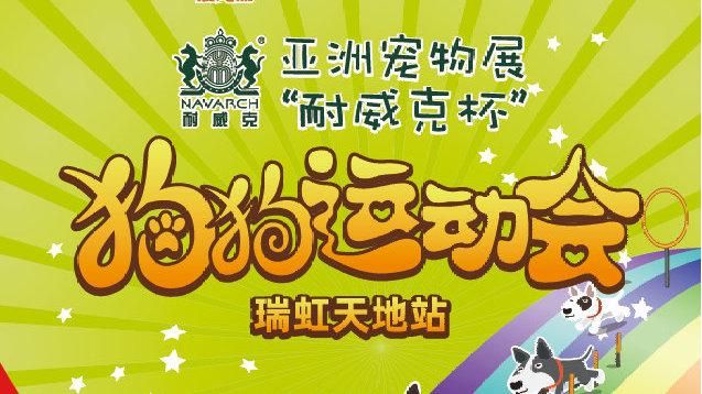 狗狗运动会游戏机多少钱？不同型号价格对比看这里！