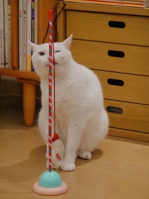 猫吃鱼的游戏手机版推荐，解放双手逗猫神器！