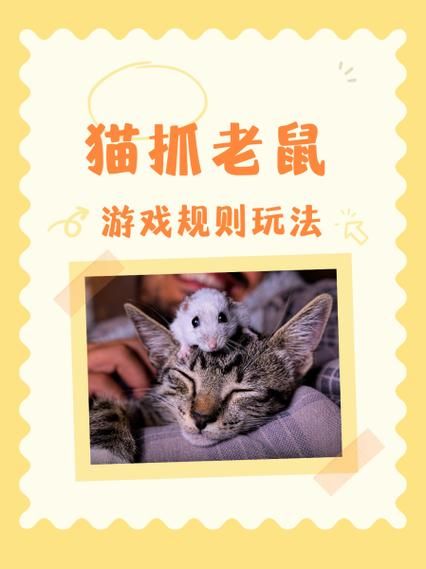猫抓老鼠游戏下载：超好玩的手机版免费下载！
