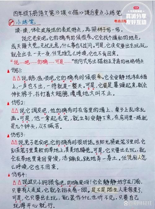 猫抓老鼠游戏后的感受，这样写作文老师都点赞！