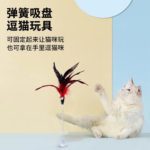 猫的游戏有哪些？让猫主子欲罢不能的玩具推荐！