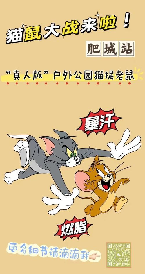 猫鼠游戏解析大揭秘，你看懂了吗？
