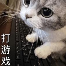 玩游戏吗表情包大全，各种搞笑卖萌梗图应有尽有！