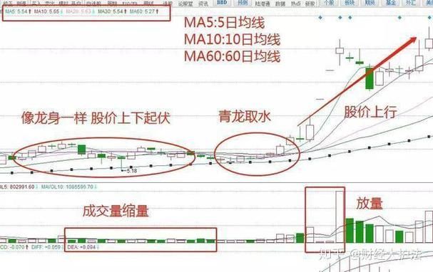 生命线游戏攻略秘籍：各结局达成条件一览！