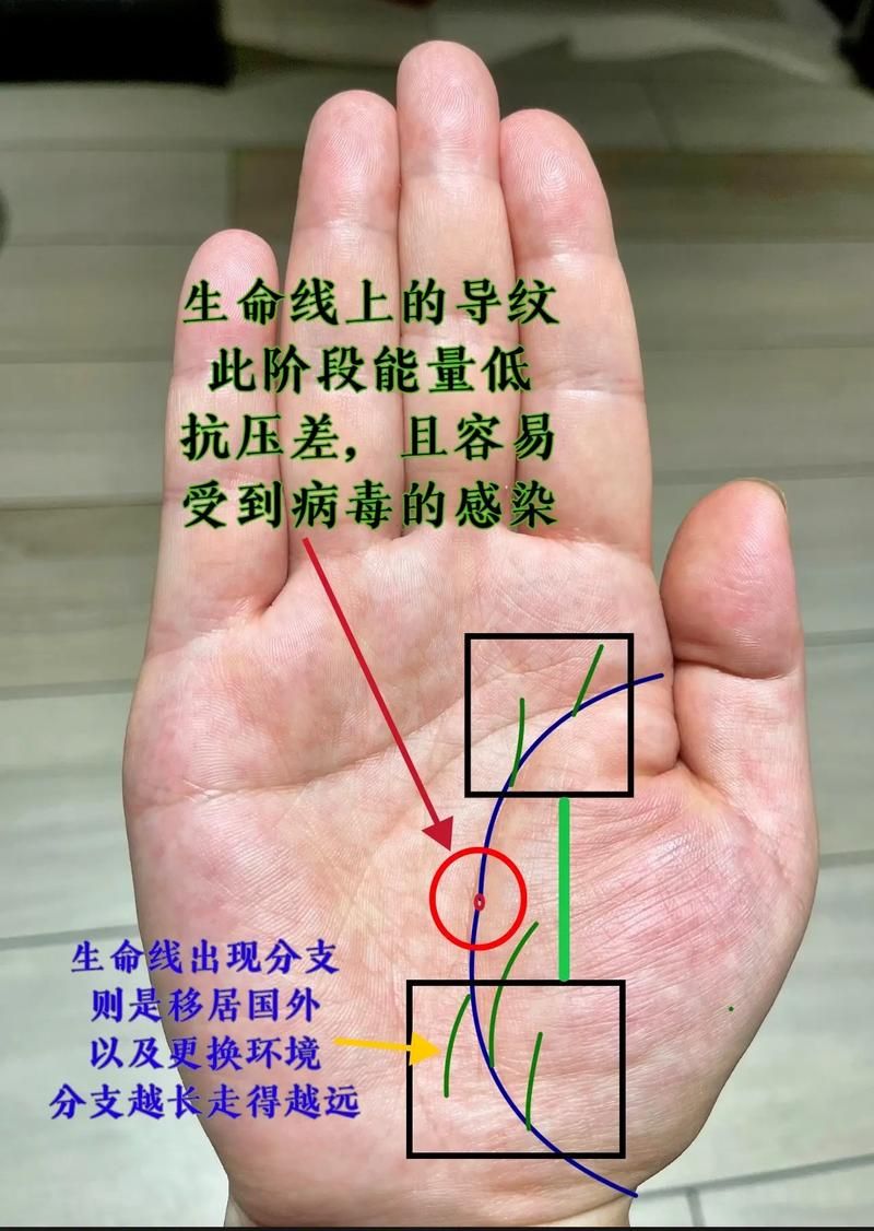 生命线系列游戏顺序是什么？一次性给你讲清楚！