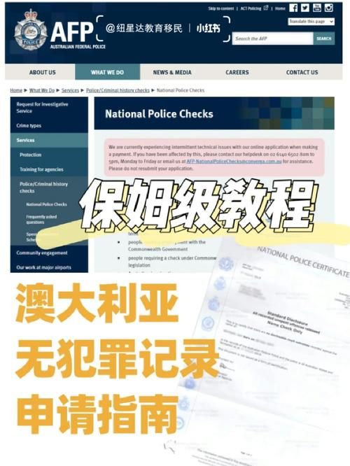 电脑怎么下载群星游戏？超详细保姆级教程来了！