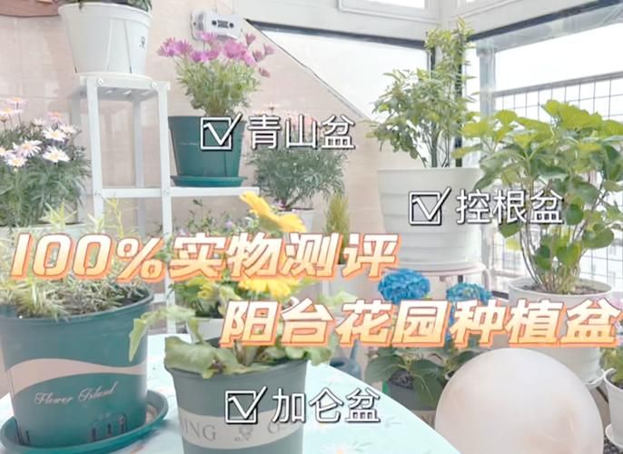 盆栽种花游戏哪个好？这几款让你变身养花达人！