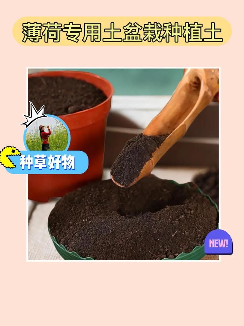 盆栽种花游戏哪个好？这几款让你变身养花达人！