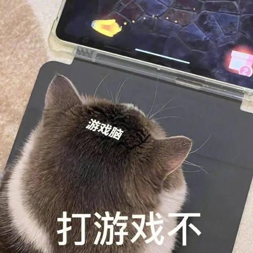 盘点打游戏搞笑图片，游戏中的那些逗比时刻！