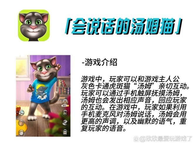 盘点那些电视上好玩的游戏，个个都是经典必玩！