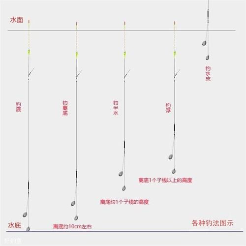 看漂钓鱼游戏怎么玩？新手入门技巧一看就懂！