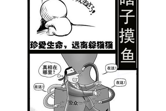 瞎子摸鱼游戏规则详解，这样玩才更有趣！
