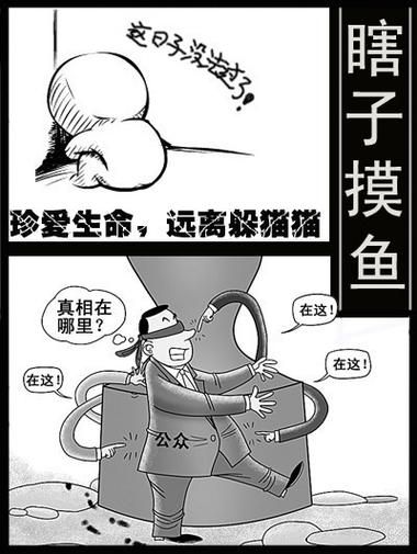 瞎子摸鱼游戏规则详解，这样玩才更有趣！