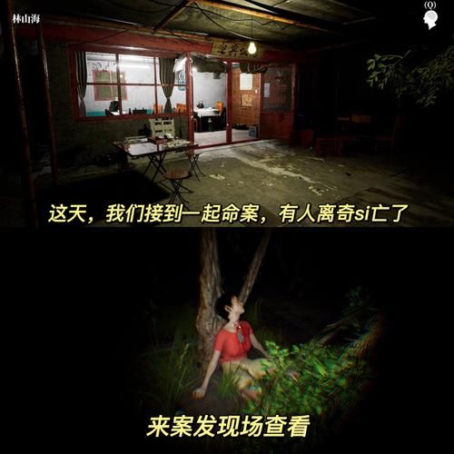 破案类游戏单机版有哪些？不用联网也能玩的！