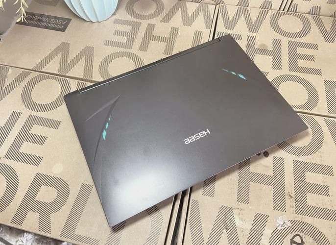 神舟游戏本旗舰店靠谱吗？网友真实评价分享！