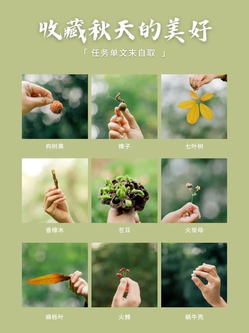 秋天的游戏怎么玩?试试这几种玩法!