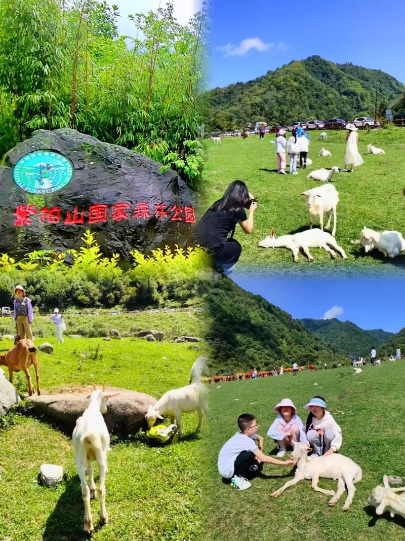 秋游玩什么？这几款适合秋游玩的游戏太好玩了！