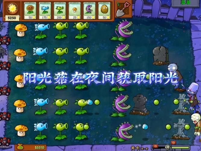 类似阳光下的真实的游戏有哪些？这几款超好玩！